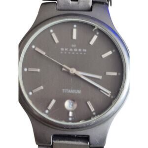 Skagen Titanium Men's Watch Crystal Dial Date Feature Minimalist Design READ
